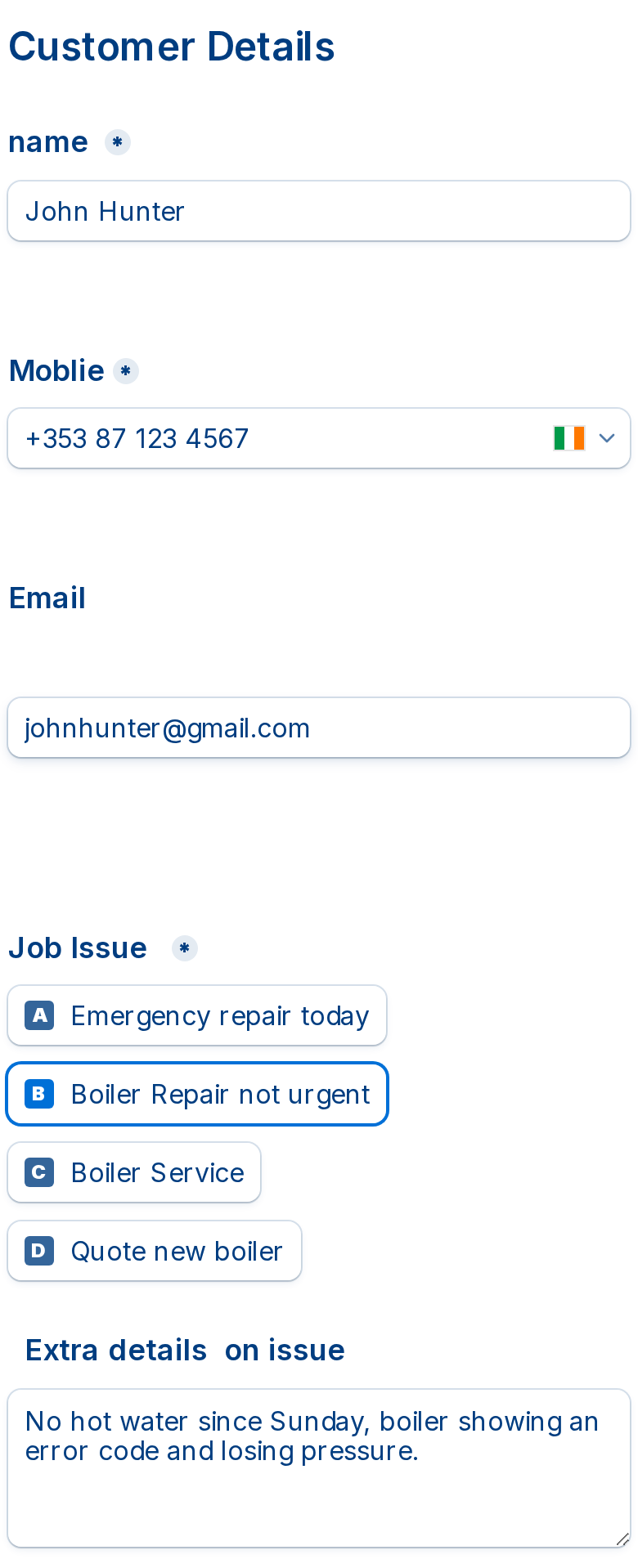 Completed booking form showing customer name, mobile, email, the selected job issue and extra details about the fault